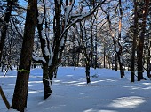 大雪時の風景