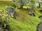 景石・植栽・地被植物の調和